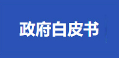 政府白皮書